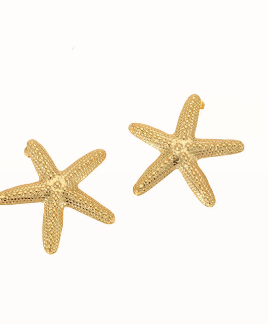 Aretes Estrella Marina