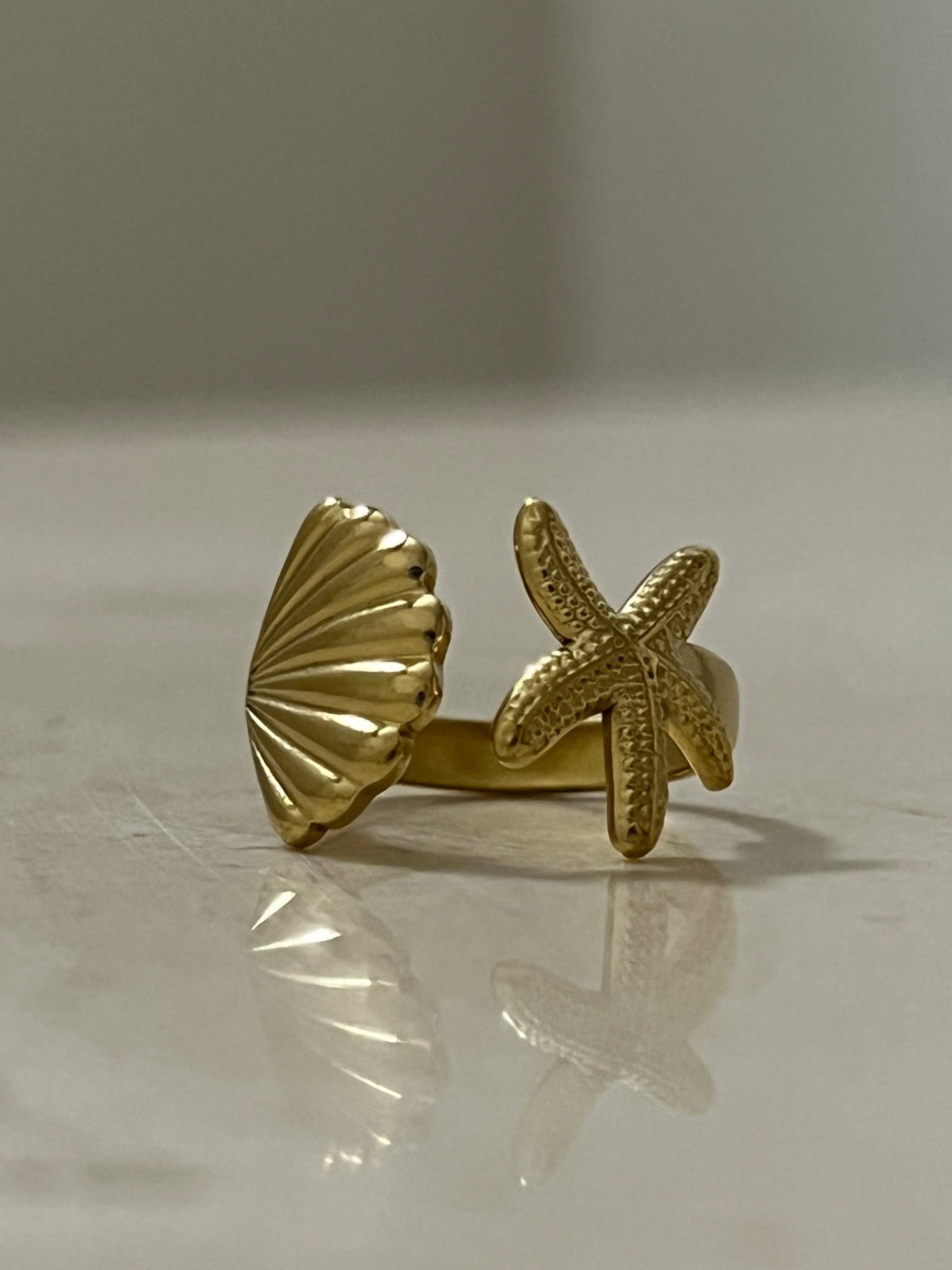 Anillo Mar y Tierra