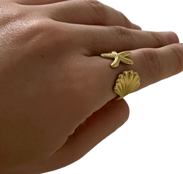 Anillo Mar y Tierra